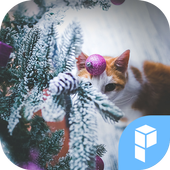 Christmas kitten theme icon