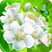 Flower Crush Match 3 icon