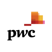PwC US CR Report icon