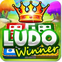 Ludo Game : Ludo Winner