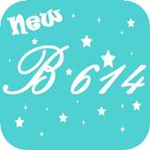 Selfie B614 - Photo Editor & Selfie Camera App on 9Apps