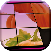 Chanathaknaba Sliding Puzzle icon