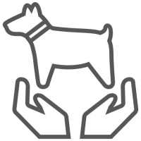 PAL Dog Care on 9Apps