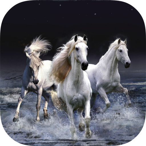 Horse Wallpapers HD icon