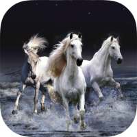 Horse Wallpapers HD on 9Apps