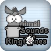 Animal Sounds & Ringtones Kids