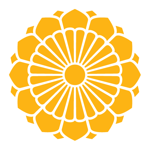 Myanmar National Airlines icon