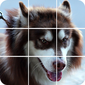 Rompecabezas De Fotos - Rompecabezas Deslizantes icon