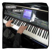 ikon Top Orgen Tunggal