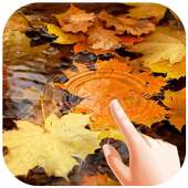 Autumn Water Ripple Live Wallpaper on 9Apps