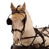 Horse Driving