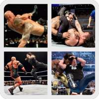 WWE Finishers