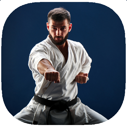 Karate Training Guide icon