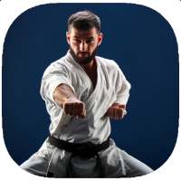 Karate Training Guide