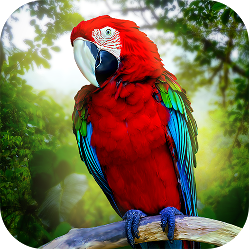 Jungle Parrot Simulator - try wild bird survival! icon