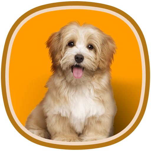 Animals for kids. Learning animals icon