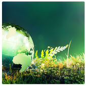 The Secret Mantras for Manifestation e-Book icon