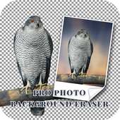 Pro Photo Background Eraser