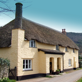 Five-Letter Words 3 FREE icon