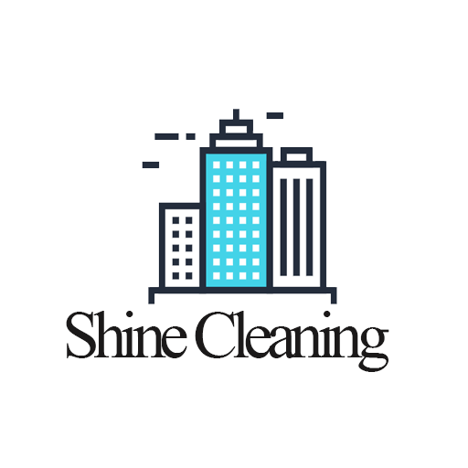 Shine Cleaning icon