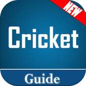 Learn Cricket