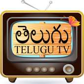 Telugu TV – తెలుగు TV
