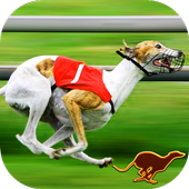 Dog Racing games &amp; Wolf Stunts icon