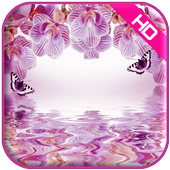 Cute Butterfly Live Wallpaper icon