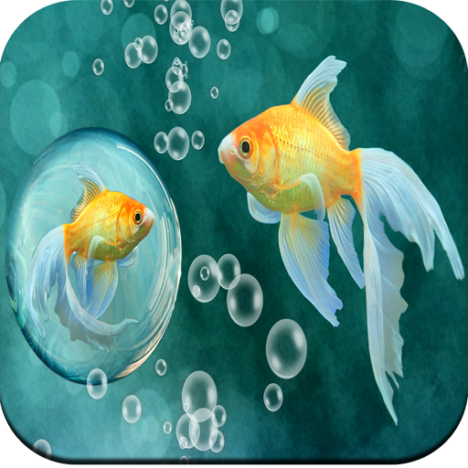 Fish Wallpapers icon