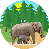 Real Animal Sounds | Teach animal Sounds icon