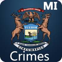 Michigan Crimes and Offense Law 2020