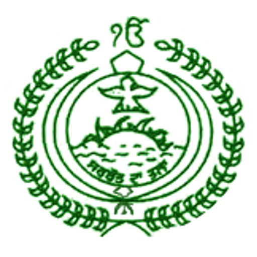 ikon St. Soldier, Mohali