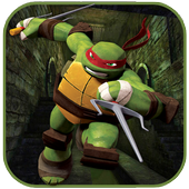 the super ninja adventure turtle games icon
