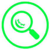 What Web أيقونة