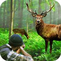 Wild Hunter: Classic Deer Hunt