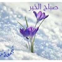 Ward Stickers on 9Apps