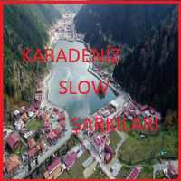 Karadeniz Şarkıları 2021 Slow(İnternetsiz) on 9Apps