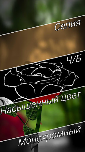 Живые обои "Роза 3D" скриншот 4