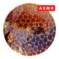 Asmr Honeycomb Honey Asmr Satisfying on 9Apps