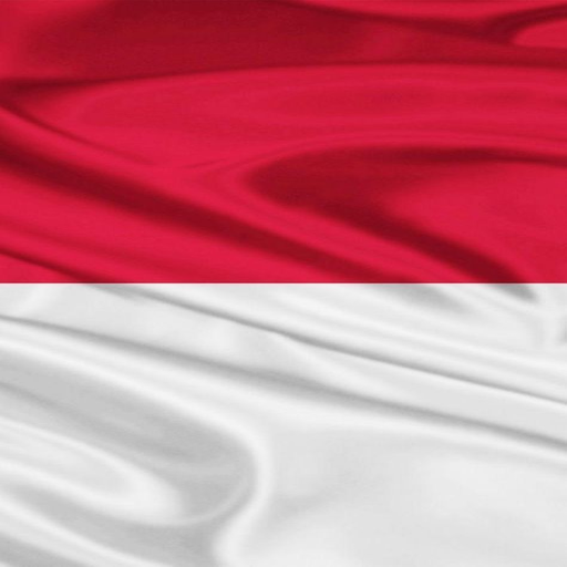 wallpaper bendera indonesia icon