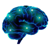 Sistem Saraf आइकन