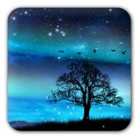 Aurora Free Live Wallpaper