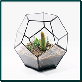 Raccolta di alberi in una bottiglia icon