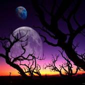 HD Wallpapers for DROID X2 أيقونة