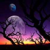 HD Wallpapers for DROID X2 on 9Apps