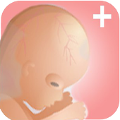 Pregnancy Plus   icon