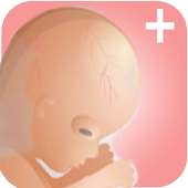 Pregnancy Plus   on 9Apps