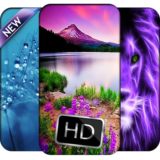 Fond Ecran: Pisici Drăguţ Imagini Fundal icon