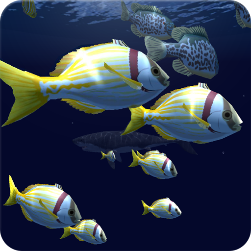 Fish Schooling VR icon