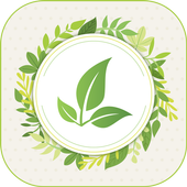 Patanjali Ayurvedic icon